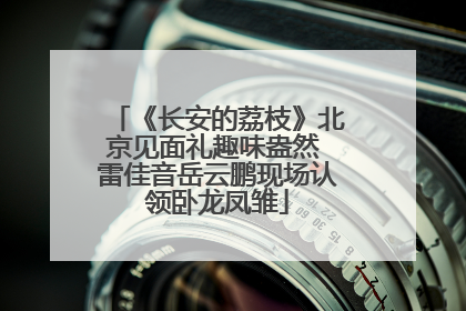 《长安的荔枝》北京见面礼趣味盎然 雷佳音岳云鹏现场认领卧龙凤雏