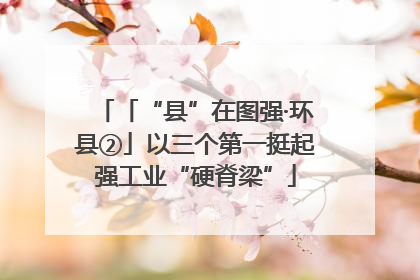 「“县”在图强·环县②」以三个第一挺起强工业“硬脊梁”