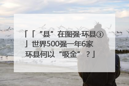 「“县”在图强·环县③」世界500强一年6家 环县何以“吸金”？