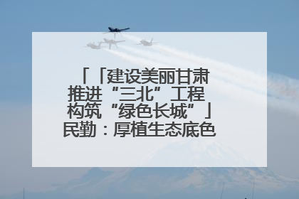 「建设美丽甘肃 推进“三北”工程 构筑“绿色长城”」民勤：厚植生态底色 筑牢绿色屏障