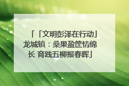 「文明彭泽在行动」龙城镇：桑果盈筐情绵长 育践五柳报春晖