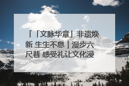 「文脉华章」非遗焕新 生生不息｜漫步六尺巷 感受礼让文化浸润的“巷”往生活