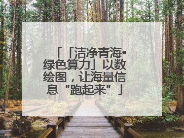 「洁净青海•绿色算力」以数绘图，让海量信息“跑起来”