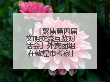 「聚焦第四届文明交流互鉴对话会」外宾团组在敦煌市考察