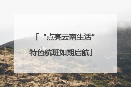 “点亮云南生活”特色航班如期启航