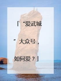 “爱武城”大众号，如何爱？