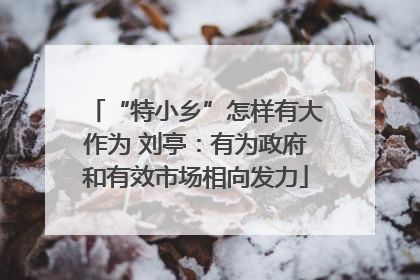 “特小乡”怎样有大作为 刘亭：有为政府和有效市场相向发力