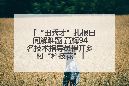 “田秀才”扎根田间解难题 黄梅94名技术指导员催开乡村“科技花”