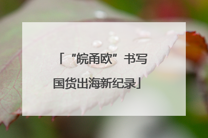 “皖甬欧”书写国货出海新纪录