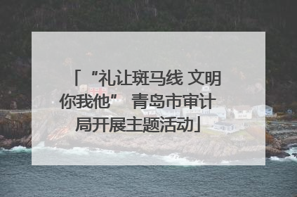 “礼让斑马线 文明你我他” 青岛市审计局开展主题活动