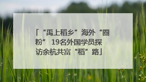 “禹上稻乡”海外“圈粉” 19名外国学员探访余杭共富“稻”路