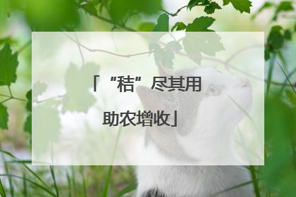 “秸”尽其用 助农增收