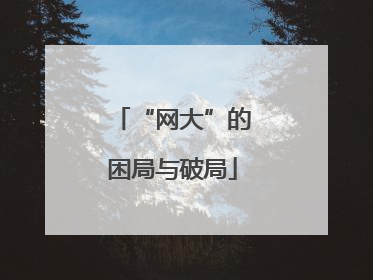 “网大”的困局与破局