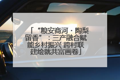 “粮安商河・陶梨留香”：三产融合赋能乡村振兴 跨村联建绘就共富画卷