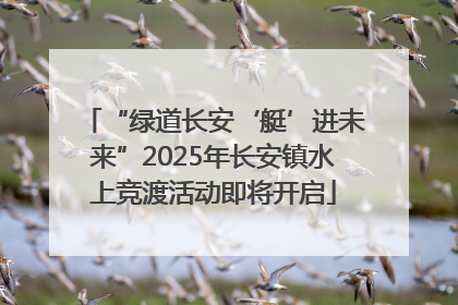 “绿道长安‘艇’进未来”2025年长安镇水上竞渡活动即将开启
