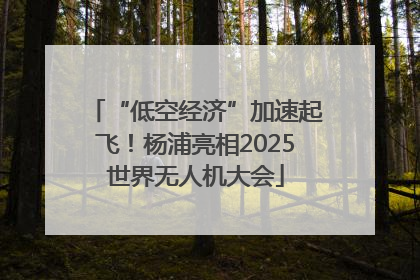 “低空经济”加速起飞！杨浦亮相2025世界无人机大会