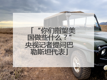 “你们指望美国做些什么？”央视记者提问巴勒斯坦代表
