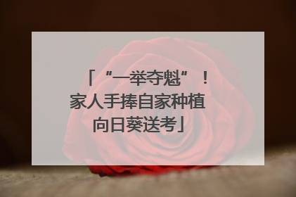 “一举夺魁”！家人手捧自家种植向日葵送考
