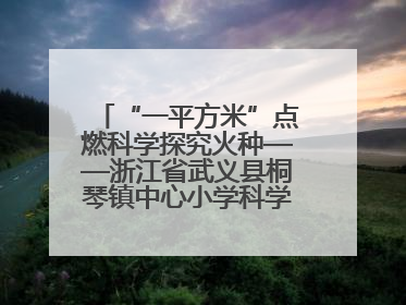 “一平方米”点燃科学探究火种——浙江省武义县桐琴镇中心小学科学教育的新探索