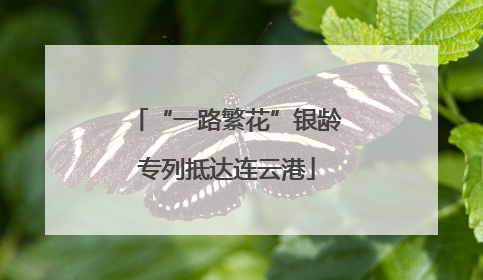 “一路繁花”银龄专列抵达连云港