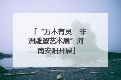 “万木有灵—非洲雕塑艺术展”河南安阳开展