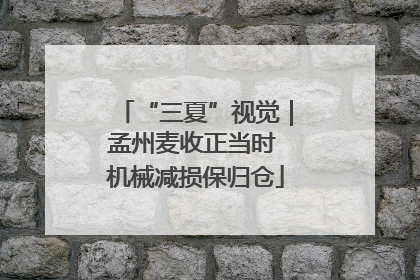 “三夏”视觉｜孟州麦收正当时 机械减损保归仓
