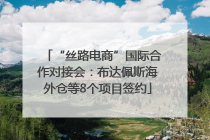“丝路电商”国际合作对接会：布达佩斯海外仓等8个项目签约