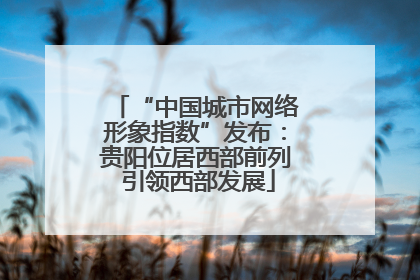 “中国城市网络形象指数”发布：贵阳位居西部前列 引领西部发展