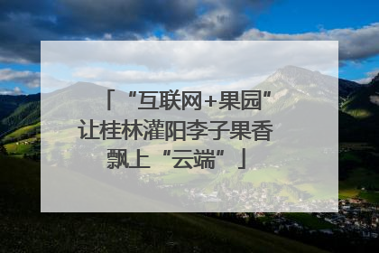 “互联网+果园”让桂林灌阳李子果香飘上“云端”