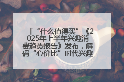 “什么值得买”《2025年上半年兴趣消费趋势报告》发布，解码“心价比”时代兴趣消费新范式