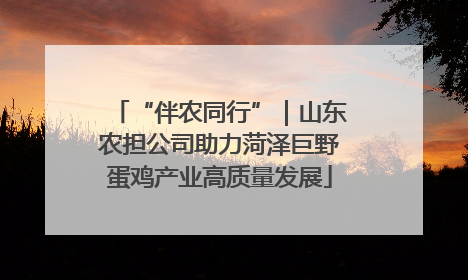 “伴农同行”｜山东农担公司助力菏泽巨野蛋鸡产业高质量发展