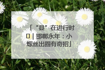 “县”在进行时⑬｜邯郸永年：小螺丝出圈有奇招