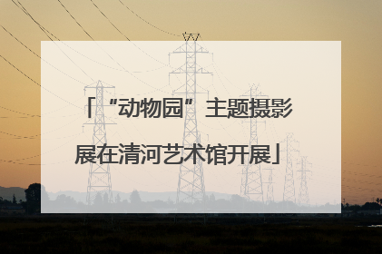 “动物园”主题摄影展在清河艺术馆开展