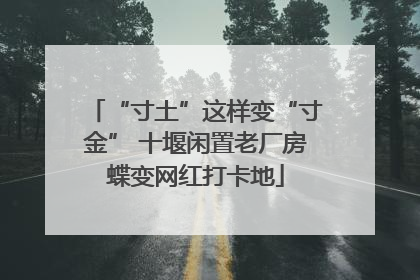 “寸土”这样变“寸金” 十堰闲置老厂房蝶变网红打卡地