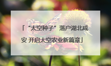 “太空种子”落户湖北咸安 开启太空农业新篇章