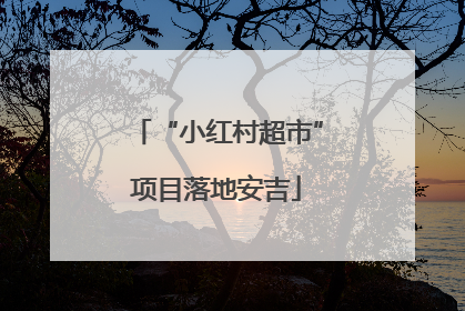 “小红村超市”项目落地安吉
