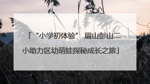 “小学初体验” 眉山彭山二小助力区幼萌娃探秘成长之旅
