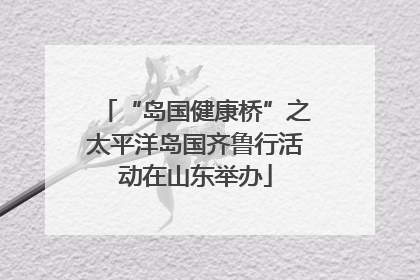 “岛国健康桥”之太平洋岛国齐鲁行活动在山东举办