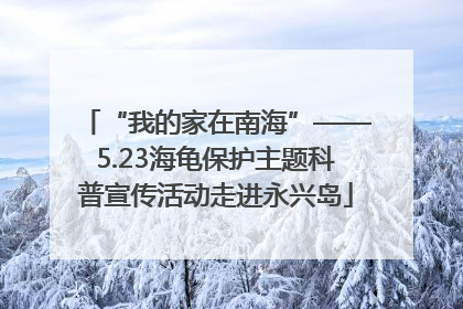 “我的家在南海”——5.23海龟保护主题科普宣传活动走进永兴岛