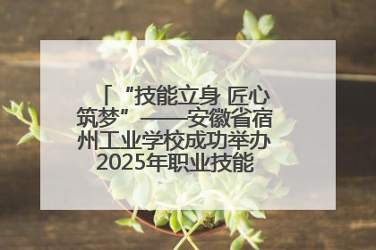 “技能立身 匠心筑梦”——安徽省宿州工业学校成功举办2025年职业技能活动周各项活动