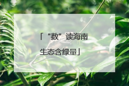 “数”读海南生态含绿量