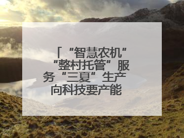 “智慧农机”“整村托管”服务“三夏”生产 向科技要产能筑牢丰产基础