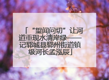 “望闻问切”让河道重现水清岸绿——记郓城县郓州街道镇级河长孟泓辰