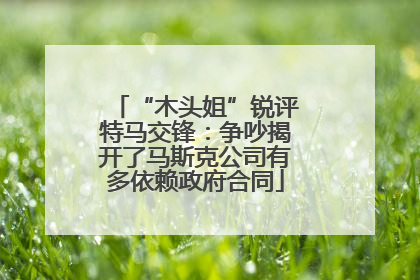 “木头姐”锐评特马交锋：争吵揭开了马斯克公司有多依赖政府合同