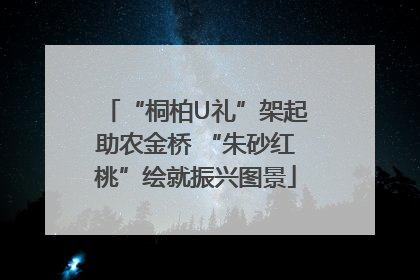 “桐柏U礼”架起助农金桥 “朱砂红桃”绘就振兴图景