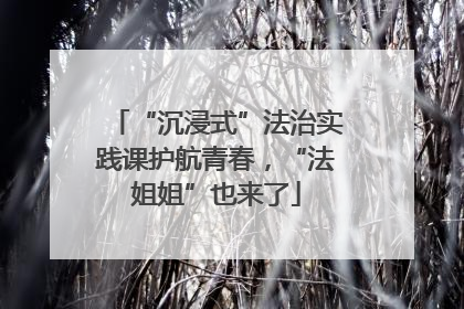 “沉浸式”法治实践课护航青春，“法姐姐”也来了