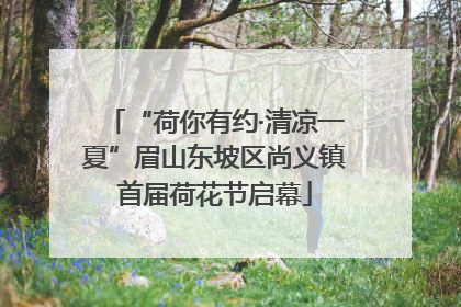 “荷你有约·清凉一夏”眉山东坡区尚义镇首届荷花节启幕