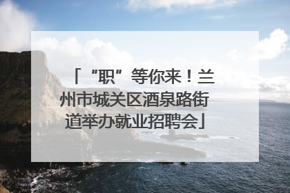 “职”等你来！兰州市城关区酒泉路街道举办就业招聘会