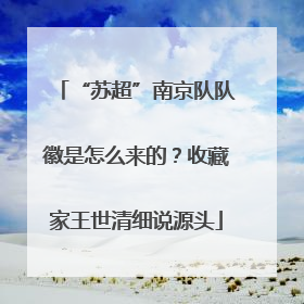“苏超”南京队队徽是怎么来的？收藏家王世清细说源头