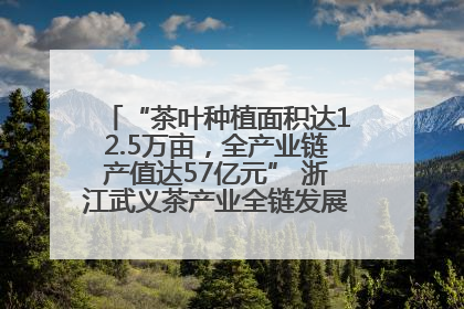 “茶叶种植面积达12.5万亩，全产业链产值达57亿元” 浙江武义茶产业全链发展“加速度”